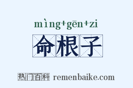 命根子是什么意思的图片